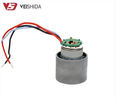 Motore DC senza spazzole ad alta velocità